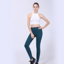 Seamless Legging